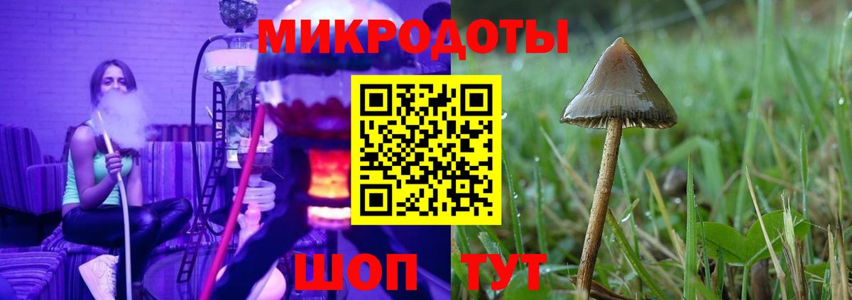 Артёмовский  Галлюциногенные грибы Psilocybe  что такое   Вход с VPN 